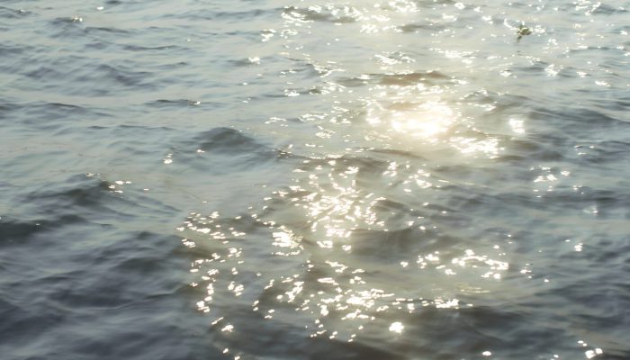 still 2026 03 18 152945 2.34.1